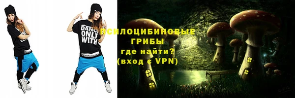 шишки Киреевск