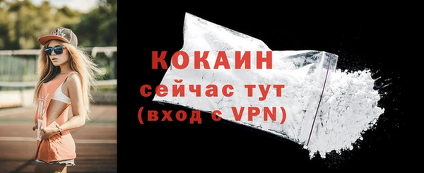 шишки Киреевск