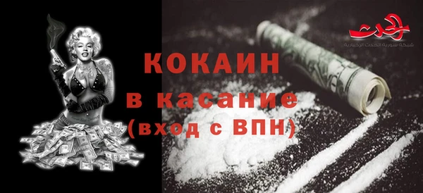 шишки Киреевск